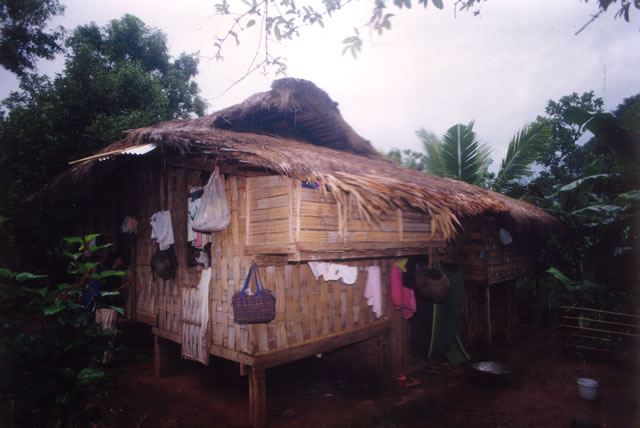 low_house_with_thatch_roof_and_woven_bamboo_walls